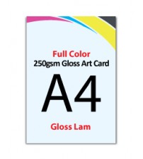 A4 Flyer 250gsm Art Card - 2 Side Gloss Lam