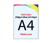 A4 Flyer 250gsm Art Card - 2 Side Matte Lam
